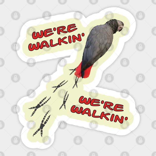 African Grey Parrot Walking Sticker by Einstein Parrot